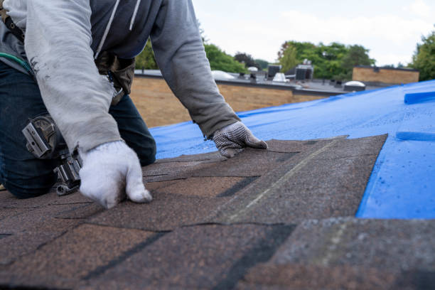Best Roof Gutter Cleaning  in Pottsboro, TX