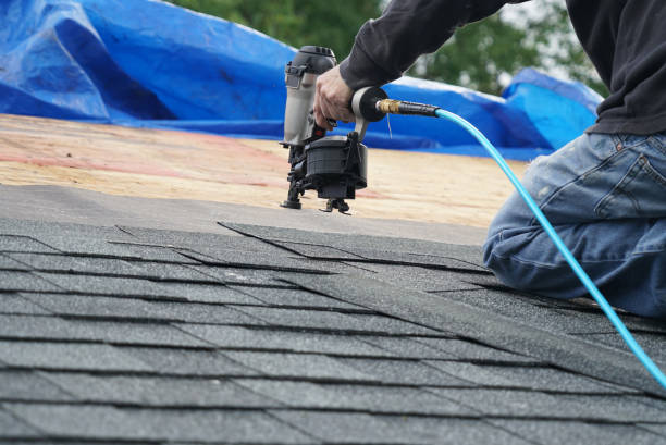 Roof Gutter Cleaning in Pottsboro, TX
